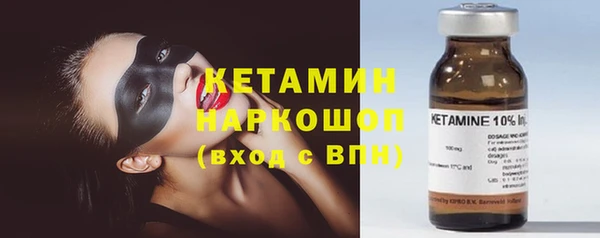 шишки Аркадак