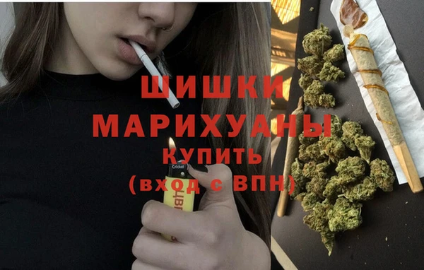амф Арсеньев