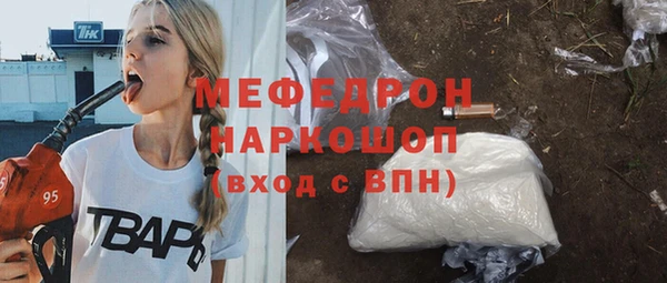 шишки Аркадак