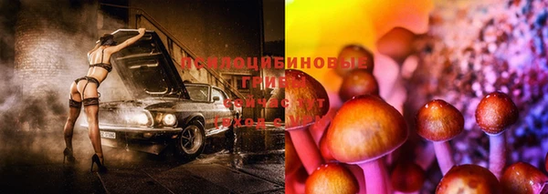 шишки Аркадак