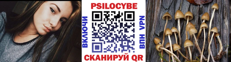 Псилоцибиновые грибы GOLDEN TEACHER  Унеча 